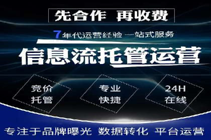 行业领先企业的SEM广告策略与效果分析